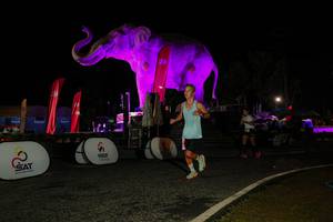 BIB: 
                            <button type="button" onclick="openModal(26534504)" class="btn btn-primary btn-sm float-right btn-popup" data-toggle="modal" data-target=".modal-high-quality">
                        <i class="fas fa-shopping-cart"></i> Add to Cart
                    </button>
                                            <button type="button" onclick="isThisMe(26534504, true)" class="btn btn-success btn-sm float-right btn-popup btn-isme hidden" data-toggle="tooltip" data-placement="bottom" title="นี่คือรูปของคุณใช่ไหม คลิกที่นี่เพื่อเอาเข้าอัลบั้ม">
                        <i class="fas fa-plus"></i> Add to album
                    </button>
                    <button type="button" onclick="isThisMe(26534504, false)" class="btn btn-warning btn-sm float-right btn-popup btn-isnotme hidden">
                        <i class="fas fa-ban"></i> Remove from album
                    </button>